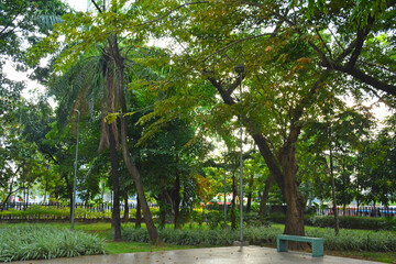 Mehan garden outdoor park in Manila, Philippines