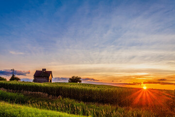 Old weathered barn and weather vane on a corn field as the sunburst is seen at sunset - obrazy, fototapety, plakaty