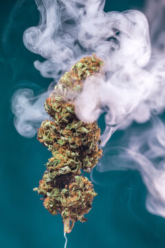 planta cogollo de marihuana cannabis exterior verde macro close up hoja con tricomas con humo