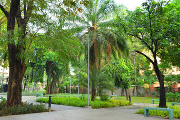 Mehan garden outdoor park in Manila, Philippines