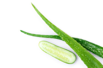 aloevera and cucumber on white.