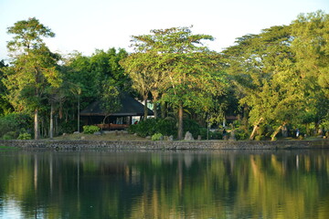 Fototapeta na wymiar Ninoy Aquino wildlife and parks lake and trees in Philippines