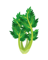 celery healthy vegetable isolated style icon