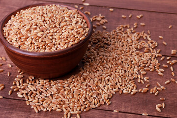 Wheat grains scattered from clay bowl on brown wooden table. High angle, closeup. Harvest, healthy food, ingredient concept