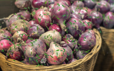 Visualization of Red Onions contaminated with Salmonella Bacteria. Contaminated food at supermarket.