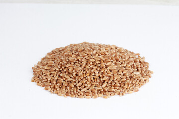 Heap of wheat grains isolated on white background. Circle shaped pile of seeds. High angle, closeup. Harvest, healthy food, ingredient concept