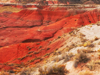 .Rich color landscape of Painted Desert National Park in Arizona. Erosion and million of years created these deep color of red,  brown, yellow-tan, white, green, rust, black. Nature at its finest, top