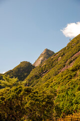 日本、屋久島のモッチョム岳