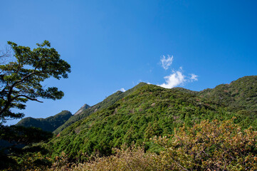 Fototapeta na wymiar 日本、屋久島のモッチョム岳