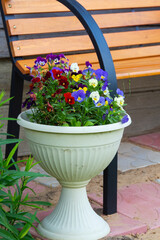 In summer, a white flowerpot with flowers stands near the bench.