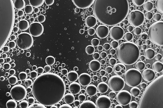 Close up oil bubbles with black and white background, macro image, blurry water droplets, abstract wallpaper background