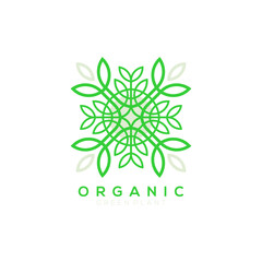 green leaf plant vector logo with circle light green background