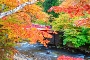 Naklejka na ściany i meble Red bridge over river in autumn, Japan.
