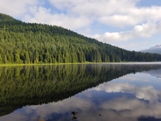 lake and forest
