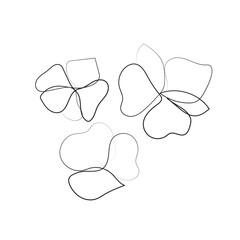 Nature vector continuous line drawing. Three linear flower decorative composition. Editable stroke