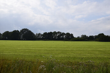 Wide shot of the greenfield in Phoenix Park in Dublin, Ireland