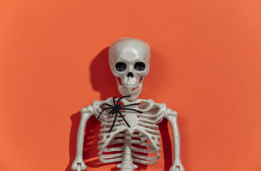 Skeleton sculpt with spider on orange bright background. Halloween theme. Top view