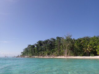 南国の倒木が海に浸かる国境の島
