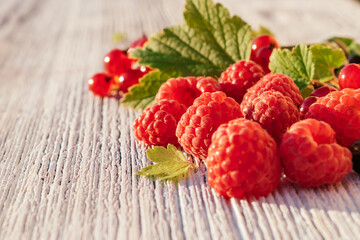 Raspberries and blurred red currant with leaves and on a white wooden background. Summer concept and concept of vitamin berries. Selective focus with shallow depth of field, copy space for text
