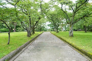 誰もいない公園の道/Nobody there in the park