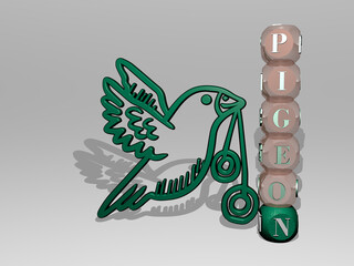 3D representation of PIGEON with icon on the wall and text arranged by metallic cubic letters on a mirror floor for concept meaning and slideshow presentation. bird and dove