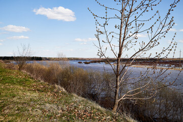 High water on a river or on a lake in sunny spring day