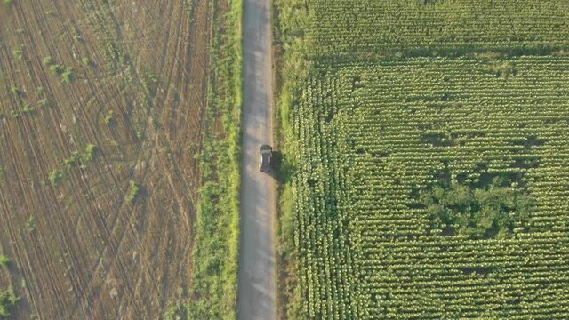 Top down aerial view of a car driving on a road in the countryside of Novi Becej in Serbia.