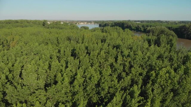 Fast aerial rotating shot of a forest on the banks of the Tisa River in Novi Becej, Serbia.