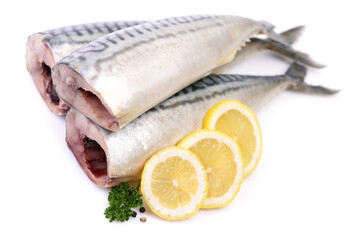 Mackerel fish on white background
