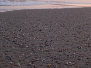 stoked photos original