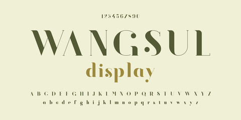Vector illustration typeface alphabet. Classic typography font set design. 