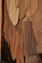stoked photos original