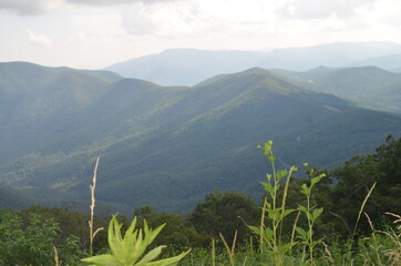 stoked photos original