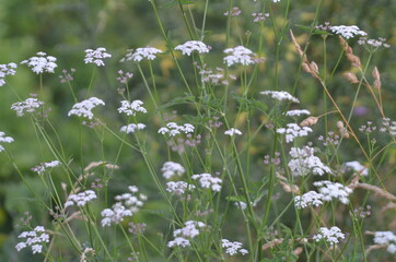 stoked photos original