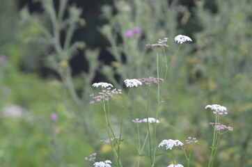 stoked photos original