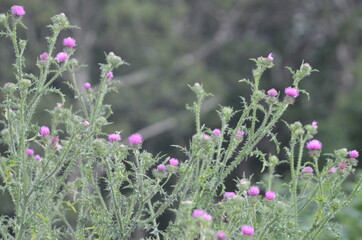 stoked photos original