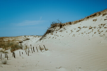 sand dunes in the morning