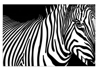 ABSTRACT VECTOR PATTERNS ICONS ART 