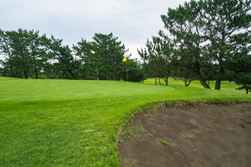 Obraz premium View of Golf Course with fairway field. Golf course with a rich green turf beautiful scenery.