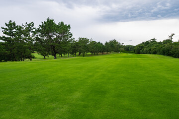 Golf Course with beautiful green field. Golf course with a rich green turf beautiful scenery.