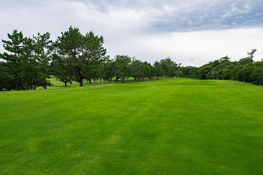 Golf Course with beautiful green field. Golf course with a rich green turf beautiful scenery. © okimo