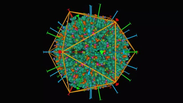 Atomic structure of the human herpesvirus 6B capsid with icosahedral symmetry shown, animated 3D Gaussian surface model, black background