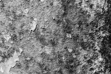 evocative black and white image of texture of rusty steel plate