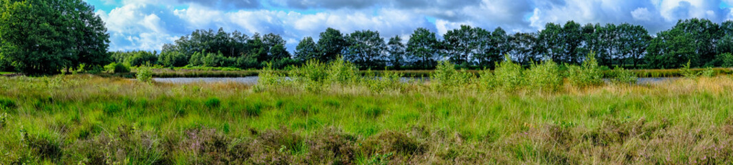 Fototapeta na wymiar Panorama heather
