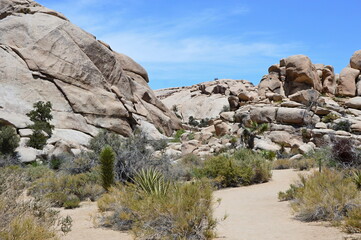 Joshua Tree National Park, Kalifornien