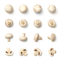 Collection of champignons isolated on white background