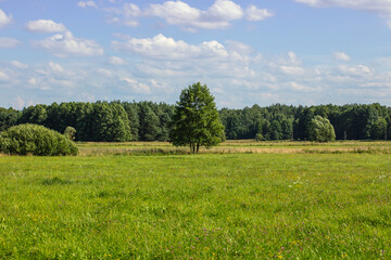 beautiful view of the natural landscape