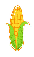 Corn. Vector illustration of a tasty autumn vegetable in flat and line-art style for print, banner or postcard.
