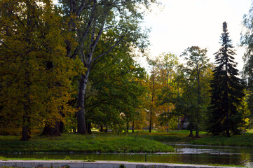 park in autumn