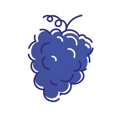 Dark grapes. Vector illustration of a tasty berry in flat and line-art style for print, banner or postcard.